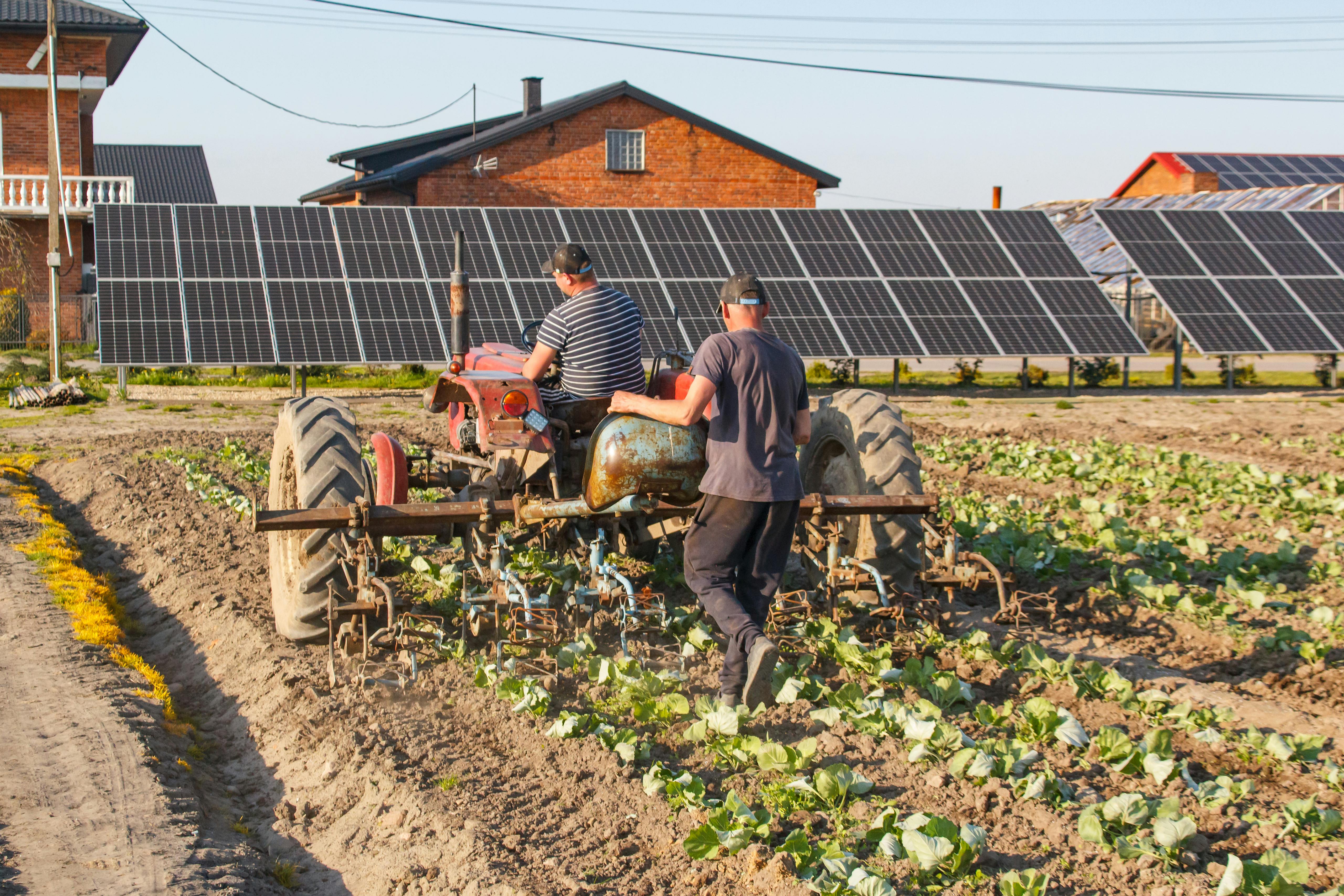 Agrovoltaic solar installation over active farmland
